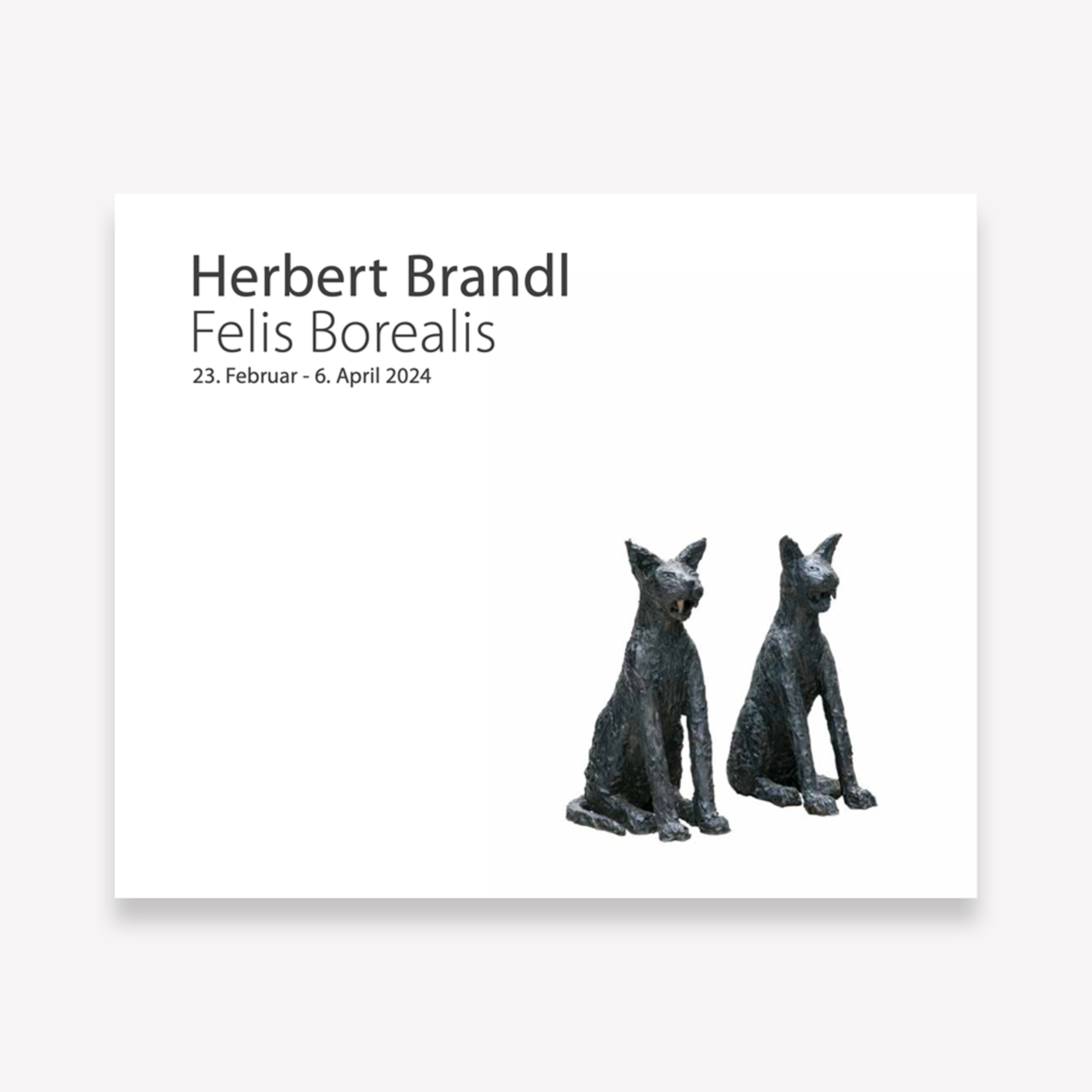 Felis Borealis